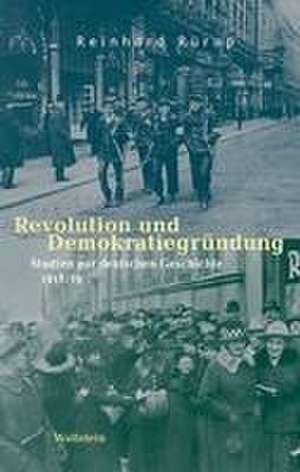 Revolution und Demokratiegründung de Reinhard Rürup