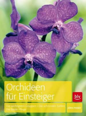 Orchideen für Einsteiger de Jörn Pinske