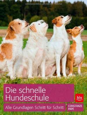 Die schnelle Hundeschule de Constanze Pape