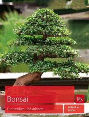 Bonsai de Werner M. Busch