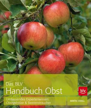 Das BLV Handbuch Obst de Martin Stangl