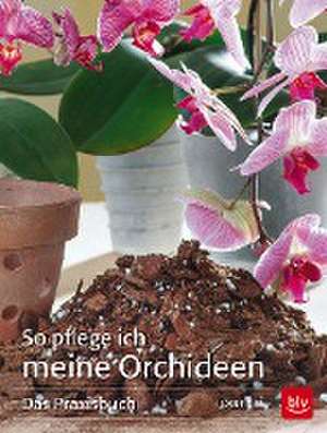 So pflege ich meine Orchideen de Jörn Pinske