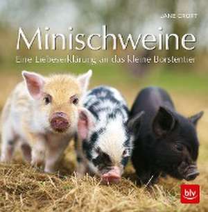 Minischweine de Jane Croft