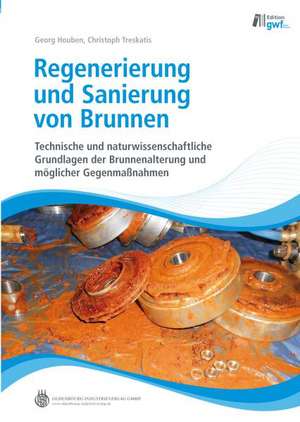 Regenerierung und Sanierung von Brunnen de Georg Houben