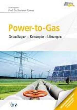 Power-to-Gas de Hartmut Krause