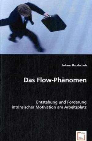 Das Flow-Phänomen de Juliane Handschuh