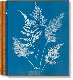 Anna Atkins. Cyanotypes de Peter Walther