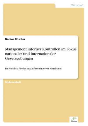 Management Interner Kontrollen Im Fokus Nationaler Und Internationaler Gesetzgebungen: Frank McGuinness - Anne Devlin - Roddy Doyle - Vincent Woods de Nadine Büscher