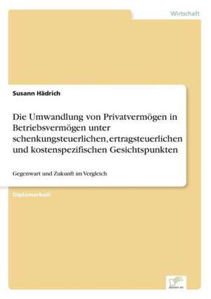 Die Umwandlung Von Privatvermogen in Betriebsvermogen Unter Schenkungsteuerlichen, Ertragsteuerlichen Und Kostenspezifischen Gesichtspunkten: Definition Des Iptv-Konzeptes Und Vergleich Der Marktsituationen in Deutschland, Grossbritannien, Frankreich, Italien de Susann Hädrich