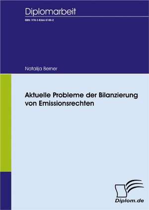 Aktuelle Probleme Der Bilanzierung Von Emissionsrechten: A Clash of Principles? de Natalija Berner