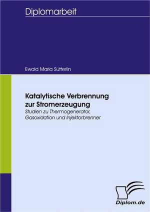 Katalytische Verbrennung Zur Stromerzeugung: Grundgedanken Uber Das Alterwerden Mit Geistiger Behinderung in Geschutzten Werkstatten de Ewald Maria Sütterlin