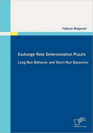 Exchange Rate Determination Puzzle: Long Run Behavior and Short Run Dynamics de Falkmar Butgereit