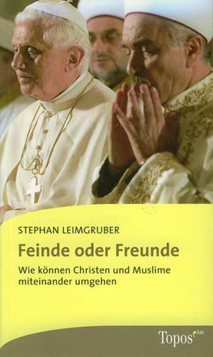 Feinde oder Freunde de Stephan Leimgruber