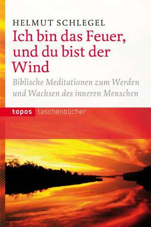 Ich bin das Feuer, und du bist der Wind de Helmut Schlegel