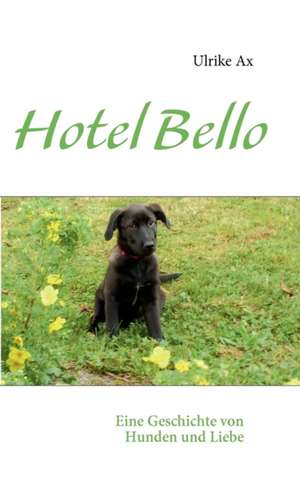 Hotel Bello de Ulrike Ax