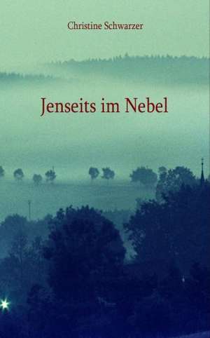 Jenseits im Nebel de Christine Schwarzer