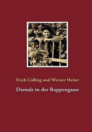 Damals in Der Rappengasse: Die Globale Finanzkrise de Erich Colling