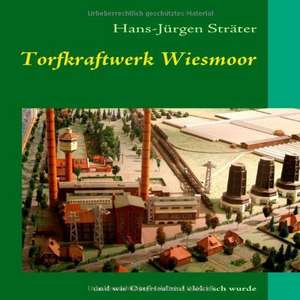 Torfkraftwerk Wiesmoor de Hans-Jürgen Sträter