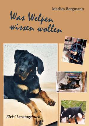 Was Welpen wissen wollen de Marlies Bergmann