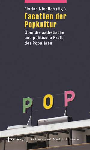 Facetten der Popkultur de Florian Niedlich