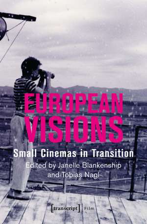 European Visions: Small Cinemas in Transition de Janelle Blankenship