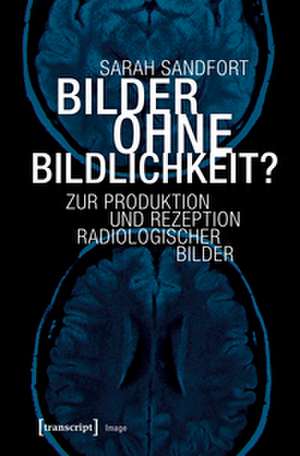 Bilder ohne Bildlichkeit? de Sarah Sandfort