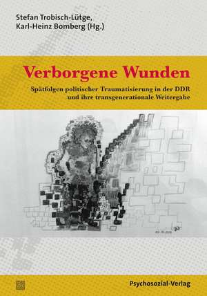 Verborgene Wunden de Stefan Trobisch-Lütge