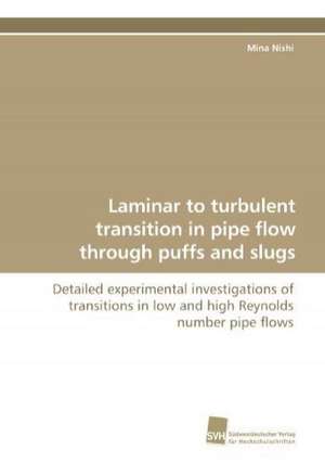 Laminar to Turbulent Transition in Pipe Flow Through Puffs and Slugs: Insights from Cern Physicists de Mina Nishi