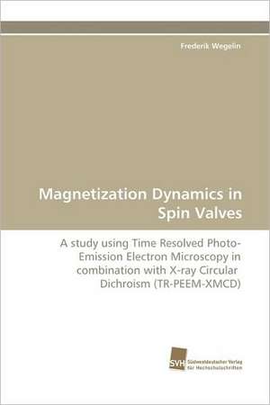 Magnetization Dynamics in Spin Valves de Frederik Wegelin