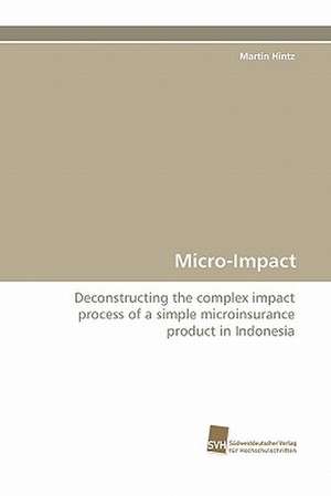 Micro-Impact de Martin Hintz