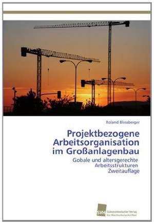 Projektbezogene Arbeitsorganisation Im Grossanlagenbau: From Bulk to Heterostructures de Roland Blessberger