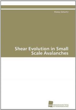 Shear Evolution in Small Scale Avalanches de Marius Schaefer