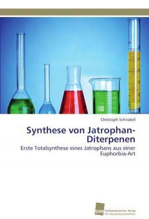 Synthese Von Jatrophan-Diterpenen: Einfluss Des Ncl. Subthalamicus Auf Die Raumorientierung de Christoph Schnabel