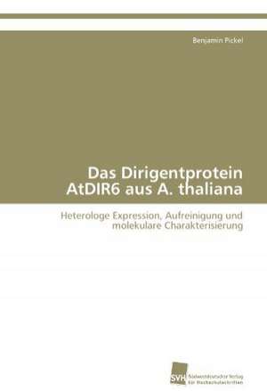 Das Dirigentprotein Atdir6 Aus A. Thaliana: An Alternative Succession Route for Family Firms de Benjamin Pickel