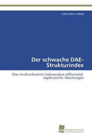 Der Schwache Dae-Strukturindex: From Tissues to Atoms de Tobias Marius Weigl