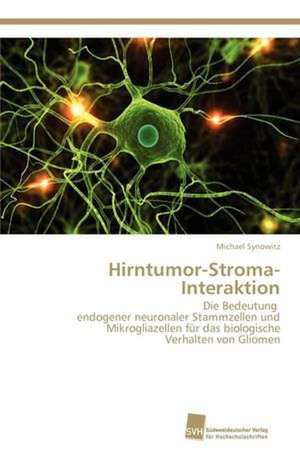 Hirntumor-Stroma-Interaktion de Michael Synowitz