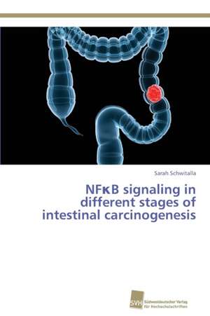 NF¿B signaling in different stages of intestinal carcinogenesis de Sarah Schwitalla