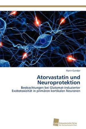 Atorvastatin Und Neuroprotektion: Measurement and Source Allocation de Florin Gandor