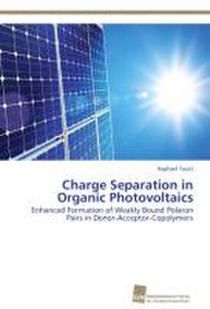 Charge Separation in Organic Photovoltaics de Raphael Tautz