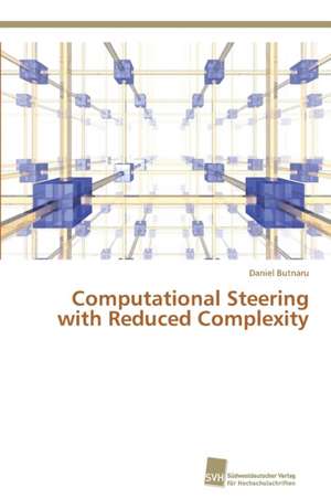 Computational Steering with Reduced Complexity de Daniel Butnaru