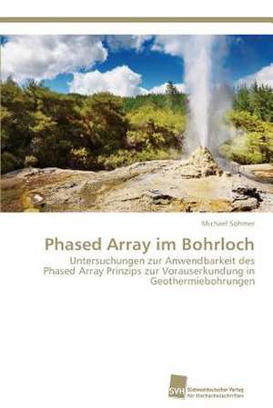 Phased Array im Bohrloch de Michael Sohmer