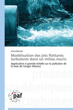 Modélisation des jets flottants turbulents dans un milieu marin de Aicha Belcaid