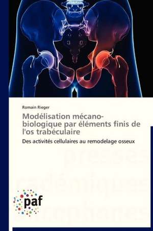 Modélisation mécano-biologique par éléments finis de l'os trabéculaire de Romain Rieger