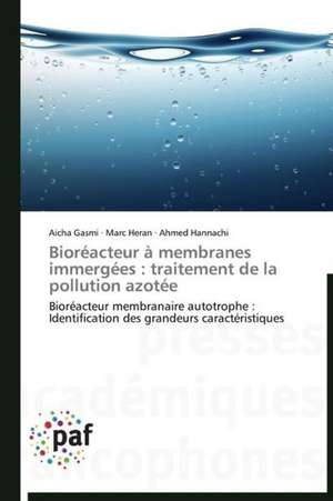 Bioréacteur à membranes immergées : traitement de la pollution azotée de Aicha Gasmi