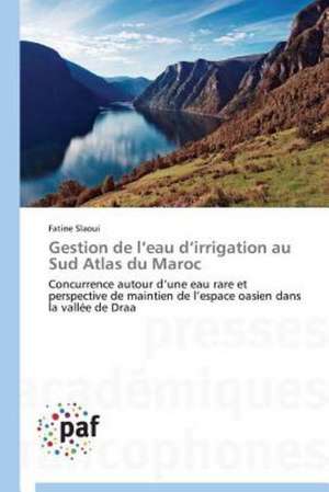 Gestion de l¿eau d¿irrigation au Sud Atlas du Maroc de Fatine Slaoui