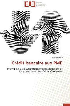 Credit Bancaire Aux Pme