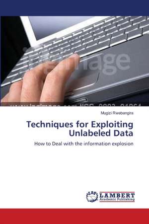 Techniques for Exploiting Unlabeled Data de Mugizi Rwebangira