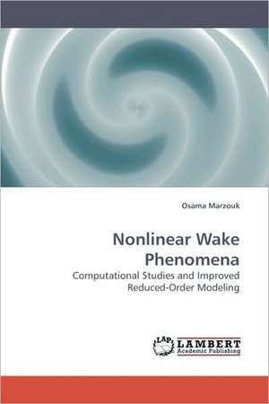 Nonlinear Wake Phenomena de Osama Marzouk