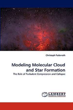 Modeling Molecular Cloud and Star Formation de Christoph Federrath