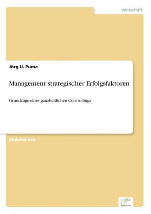 Management strategischer Erfolgsfaktoren de Jörg U. Puma